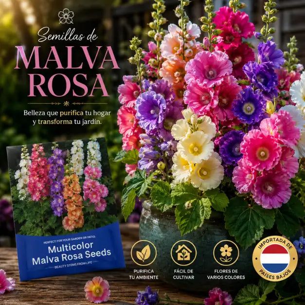 Semillas de Malva Rosa
