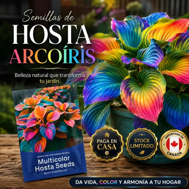 Semillas de Hosta Arcoíris